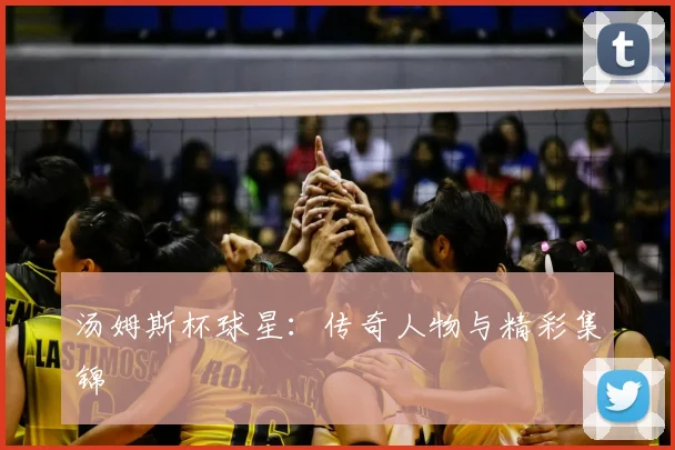 汤姆斯杯球星:传奇人物与精彩集锦