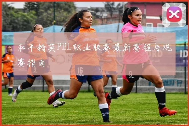 和平精英PEL职业联赛最新赛程与观赛指南