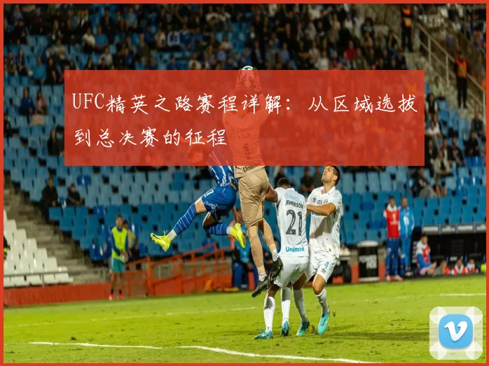 UFC精英之路赛程详解：从区域选拔到总决赛的征程