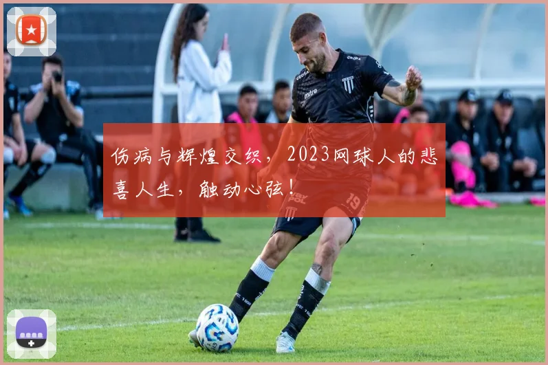 伤病与辉煌交织，2023网球人的悲喜人生，触动心弦！