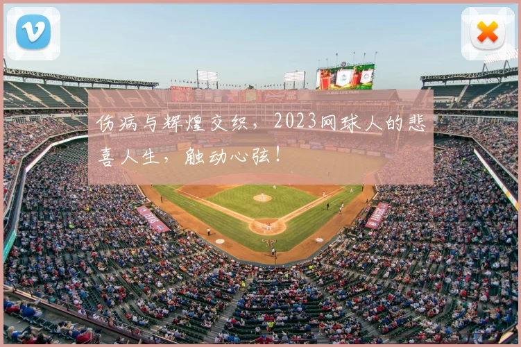 伤病与辉煌交织，2023网球人的悲喜人生，触动心弦！