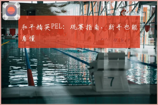 和平精英PEL：观赛指南，新手也能看懂