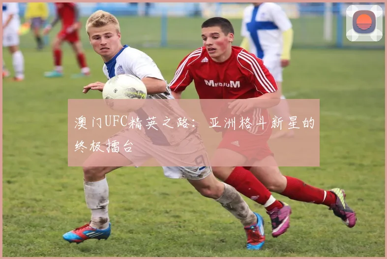 澳门UFC精英之路：亚洲格斗新星的终极擂台