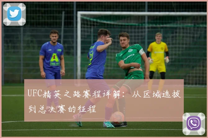 UFC精英之路赛程详解：从区域选拔到总决赛的征程