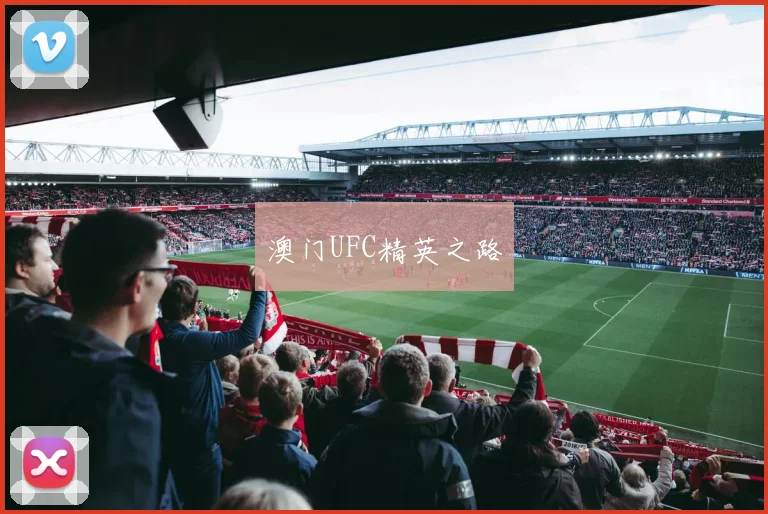 澳门UFC精英之路