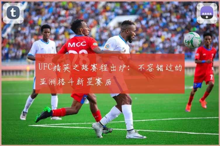 UFC精英之路赛程出炉：不容错过的亚洲格斗新星赛历