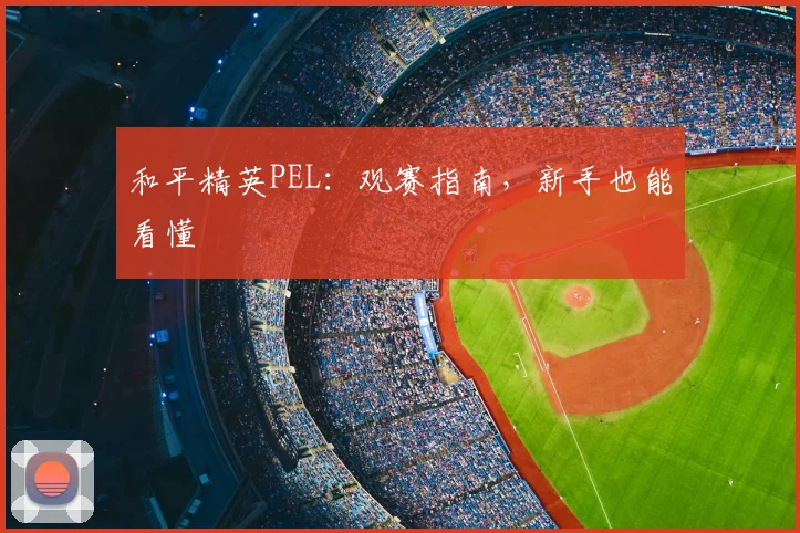 和平精英PEL：观赛指南，新手也能看懂