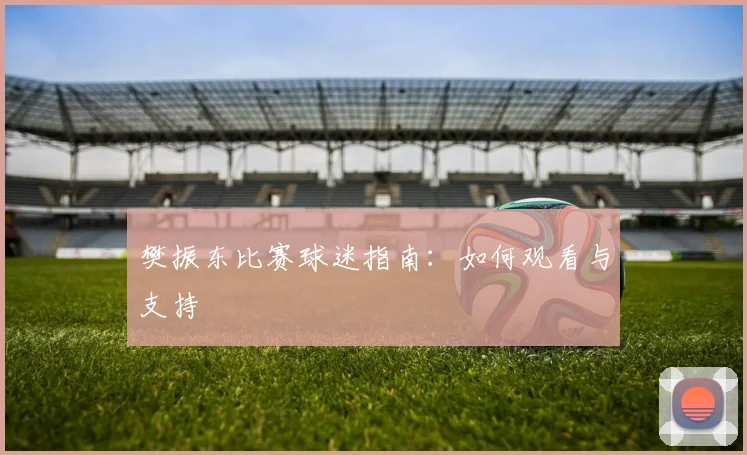 樊振东比赛球迷指南：如何观看与支持
