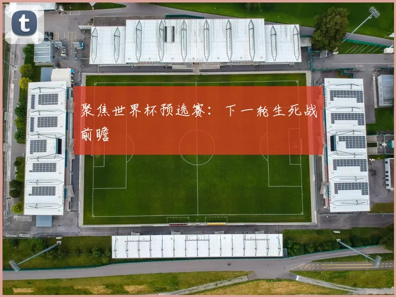 聚焦世界杯预选赛：下一轮生死战前瞻