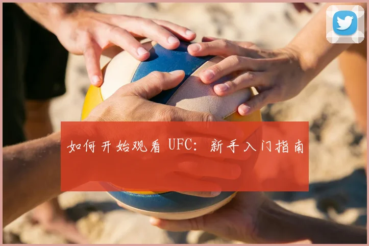 如何开始观看 UFC：新手入门指南