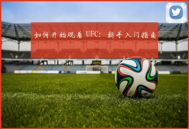 如何开始观看 UFC：新手入门指南