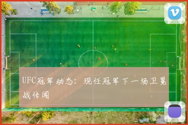 UFC冠军动态：现任冠军下一场卫冕战传闻
