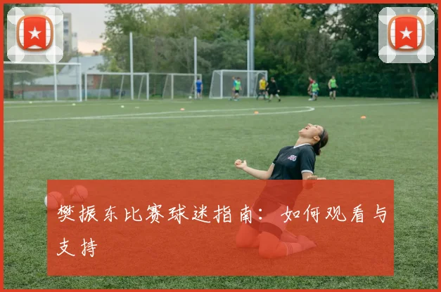樊振东比赛球迷指南：如何观看与支持