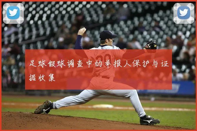 足球假球调查中的举报人保护与证据收集
