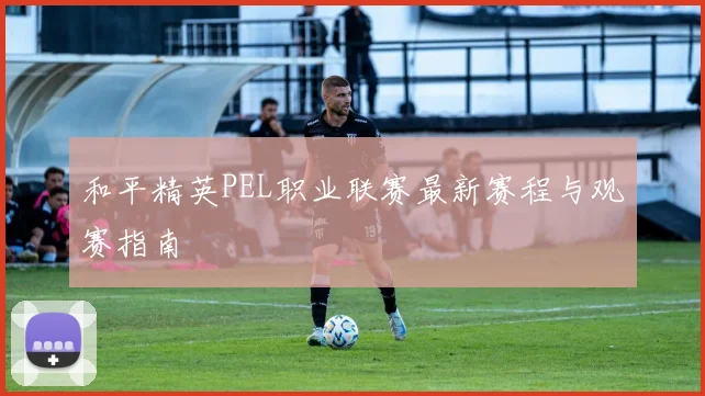 和平精英PEL职业联赛最新赛程与观赛指南